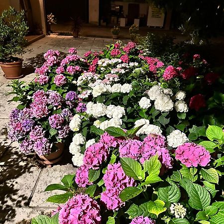 B&B Le Ortensie Castagnole Exteriér fotografie